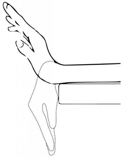 ćwiczenia dłoni po udarze ruch nadgarstka