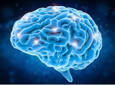 Neuroplastyczność po udarze mózgu